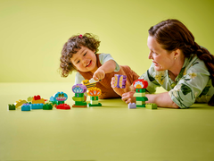 Lego Duplo Creative Garden and Flowers 10444 - Albagame