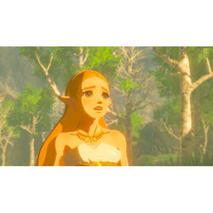 Switch The Legend Of Zelda Breath of The Wild