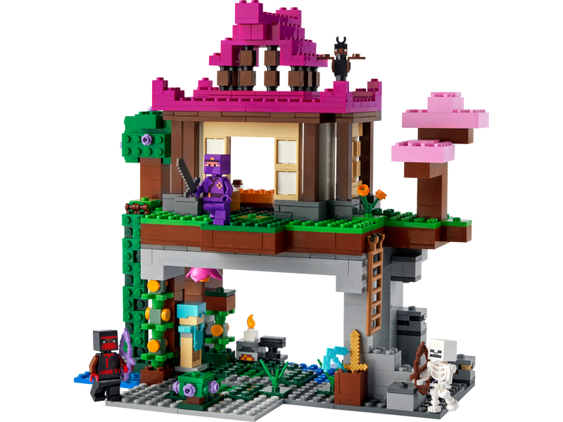 Lego Minecraft The Training Grounds 21183 - Albagame