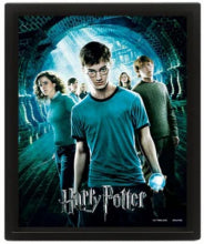 3D Picture Harry Potter Fenice - Albagame
