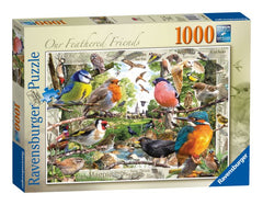Puzzle Ravensburger Our Feathered Friends 1000Pcs - Albagame