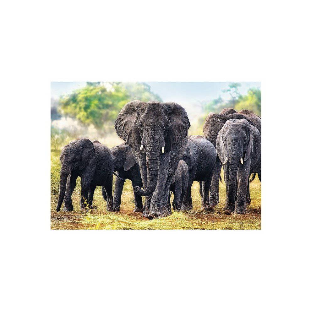 Puzzle Trefl Elephants 1000Pcs - Albagame