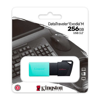 256GB Kingston DataTraveler Exodia M - Albagame